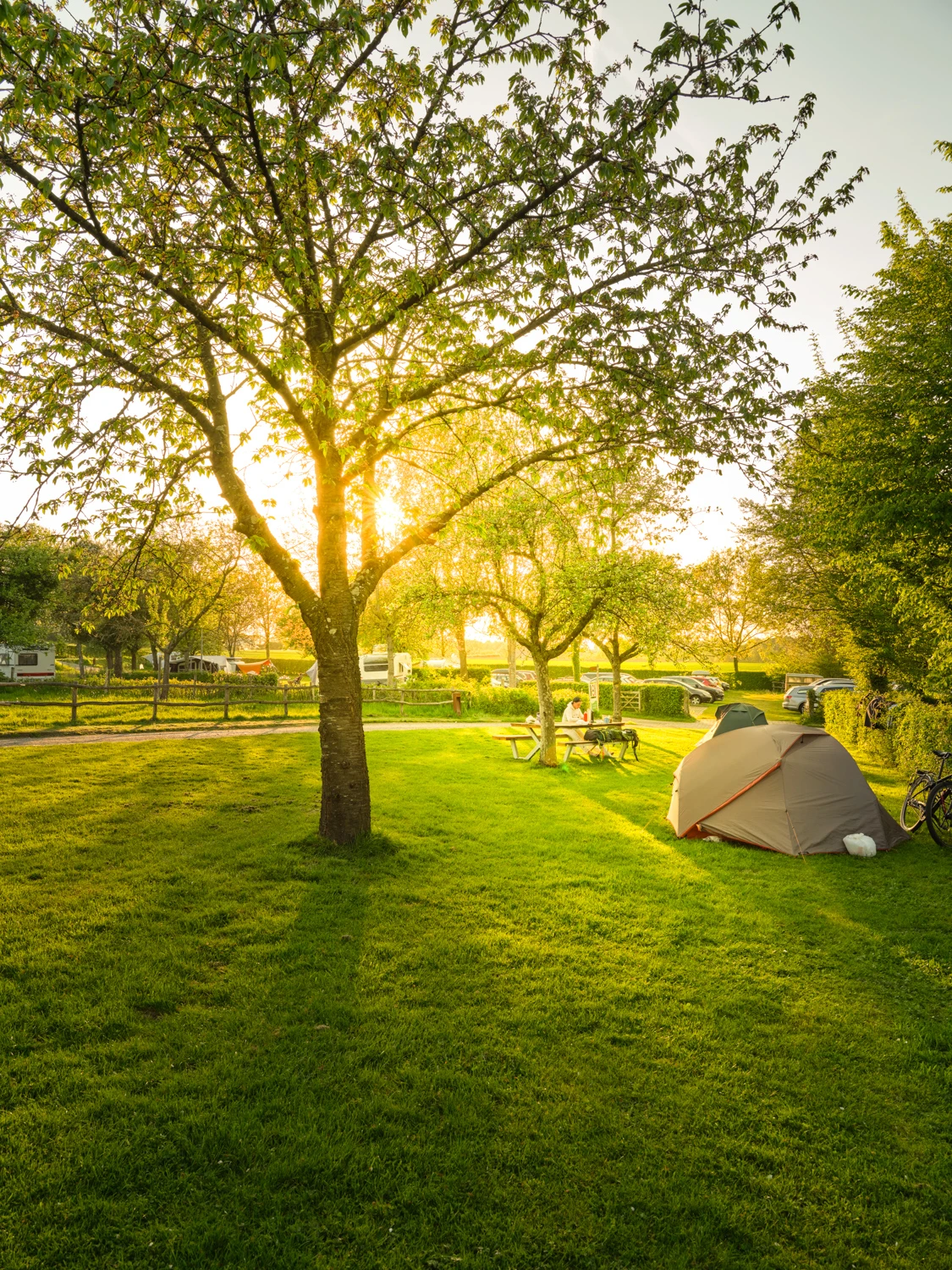 Camping Gastmolen Vaals Zuid Limburg - tentenveld